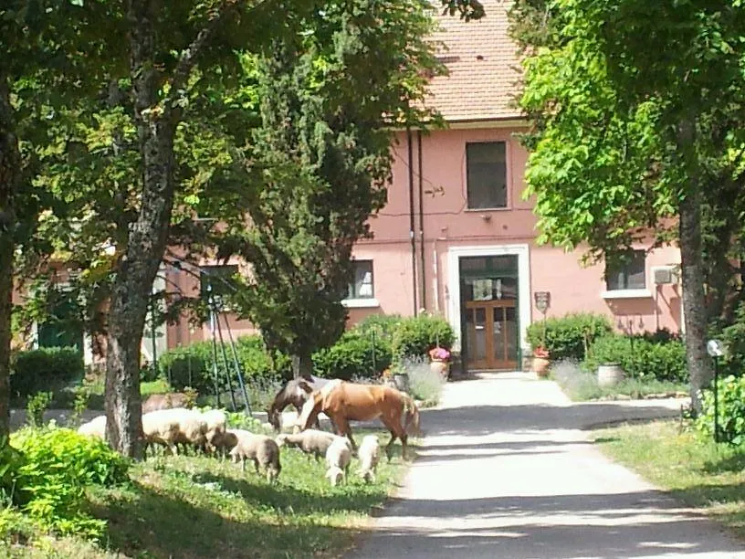 Country House Villa delle Rose Agriturismo-1